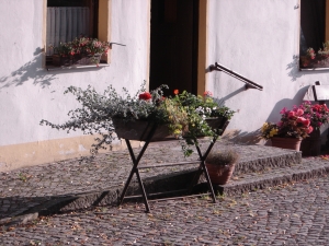 blumenbank