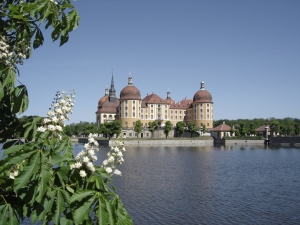 schloss mritzburg