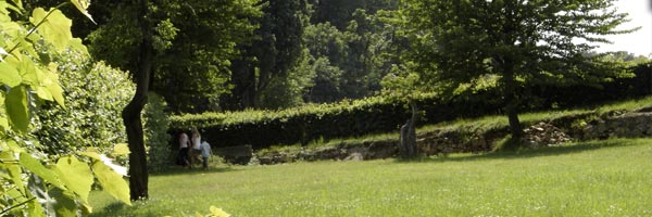 pension ullmann